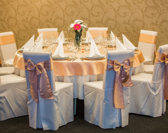 vjencanja i proslave