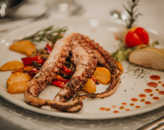 vjencanja i proslave