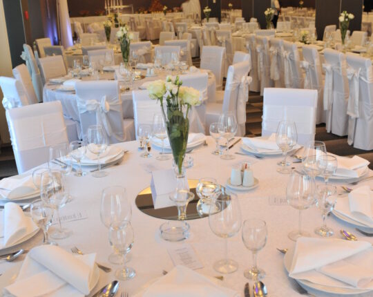 vjencanja i proslave